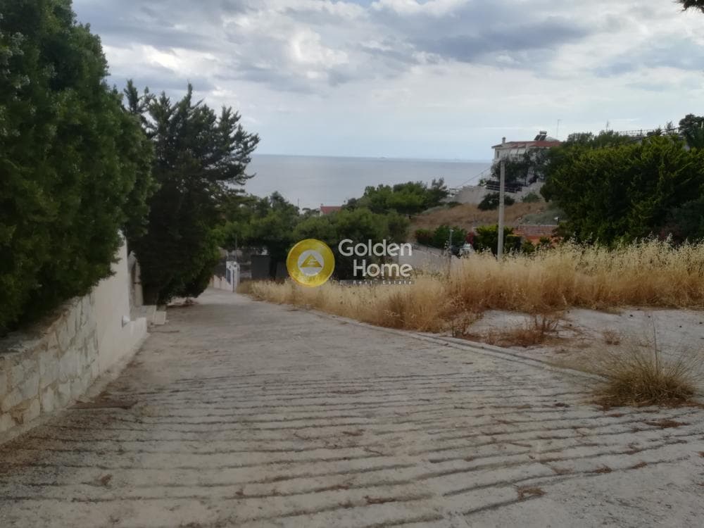 Μονοκατοικία στην Αγία Μαρίνα, Κορωπί — Φωτογραφία 39 από 39