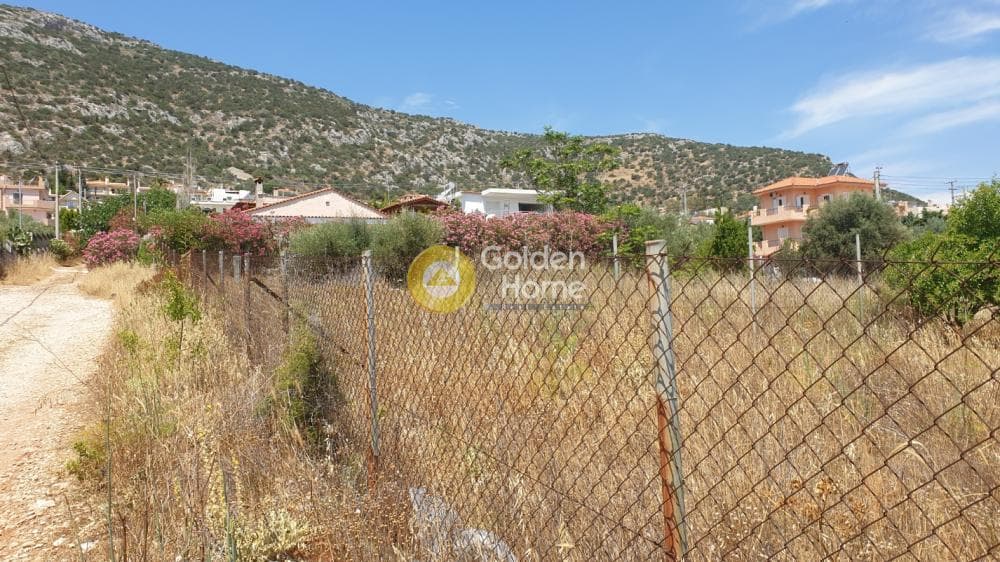 Οικόπεδο στην Πόρτο Ράφτη, Βραυρώνα — Φωτογραφία 4 από 19