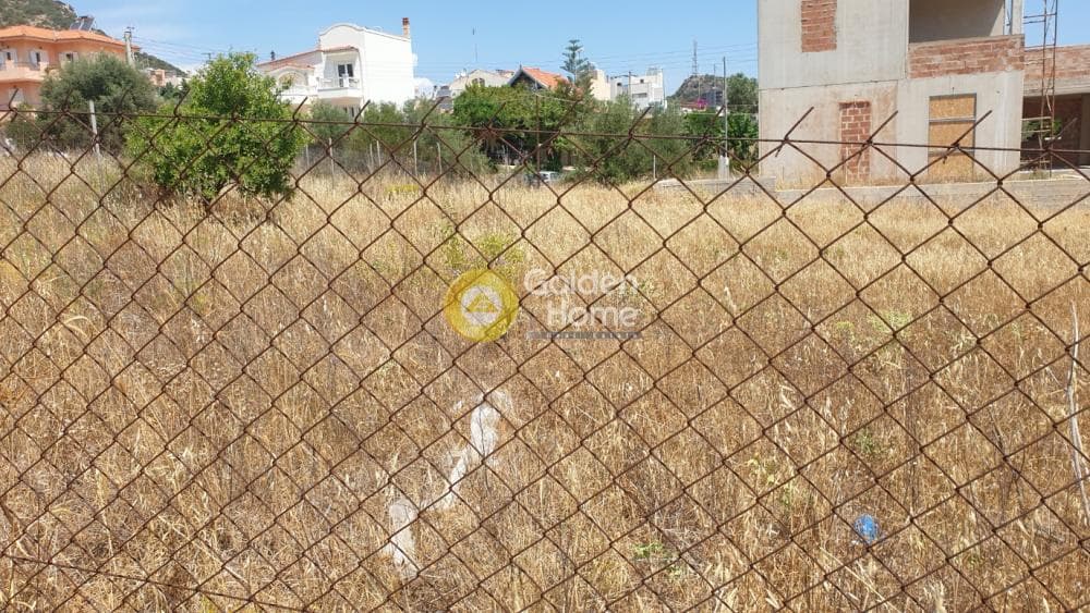 Οικόπεδο στην Πόρτο Ράφτη, Βραυρώνα — Φωτογραφία 5 από 19