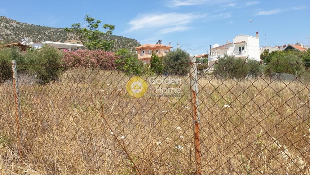 Οικόπεδο στην Πόρτο Ράφτη, Βραυρώνα — Φωτογραφία 10 από 19