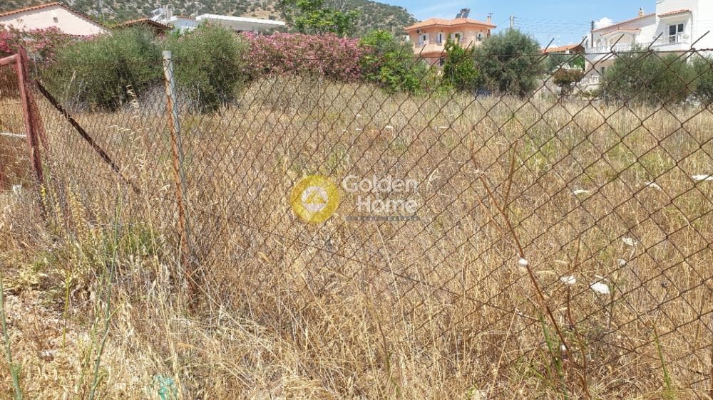 Οικόπεδο στην Πόρτο Ράφτη, Βραυρώνα — Φωτογραφία 13 από 19