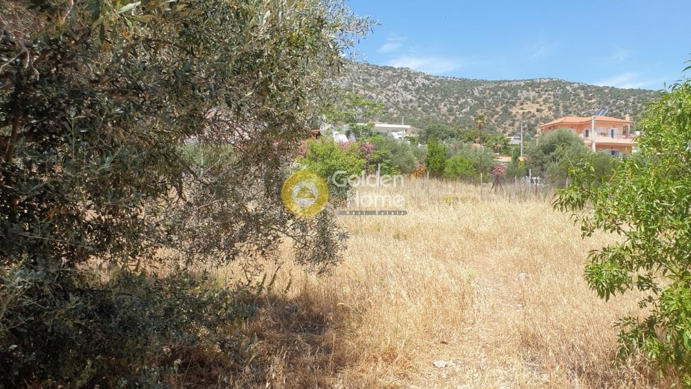 Οικόπεδο στην Πόρτο Ράφτη, Βραυρώνα — Φωτογραφία 15 από 19