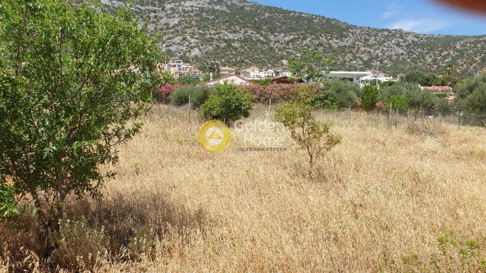 Οικόπεδο στην Πόρτο Ράφτη, Βραυρώνα — Φωτογραφία 17 από 19