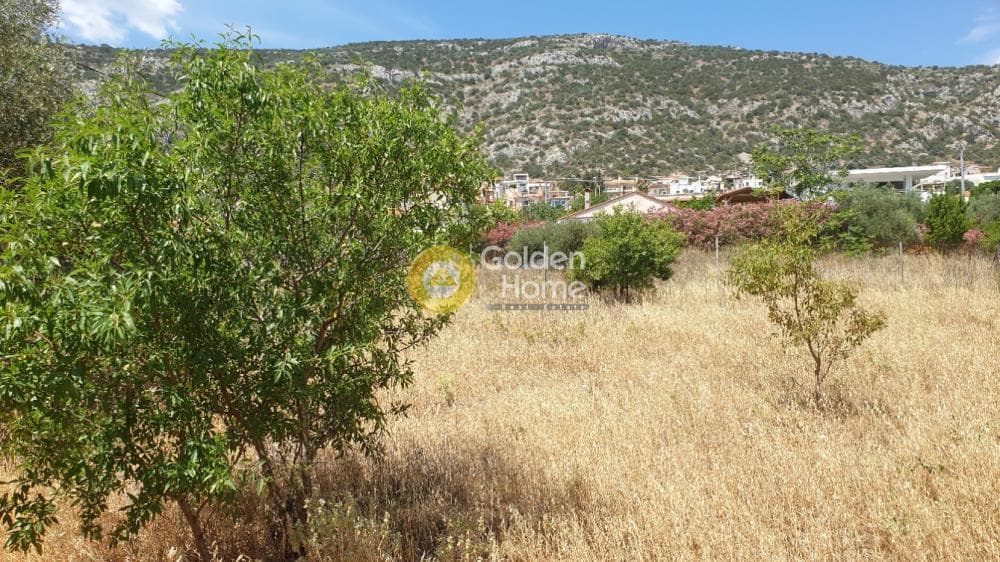 Οικόπεδο στην Πόρτο Ράφτη, Βραυρώνα — Φωτογραφία 18 από 19