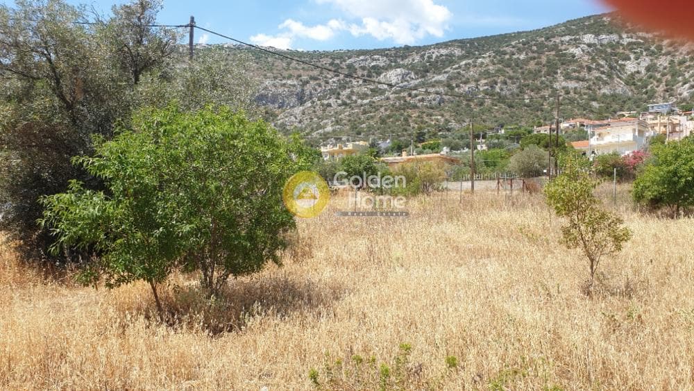 Οικόπεδο στην Πόρτο Ράφτη, Βραυρώνα — Φωτογραφία 19 από 19