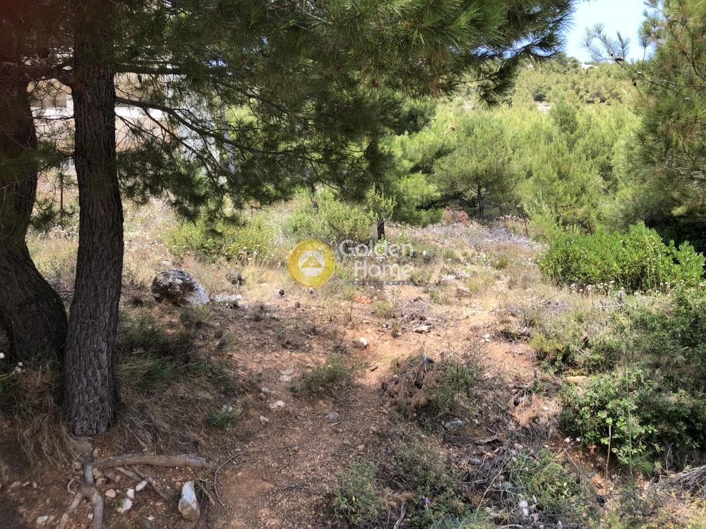 Οικόπεδο στην Μεγάλα Σχοινία Α, Αχαρνές — Φωτογραφία 2 από 5