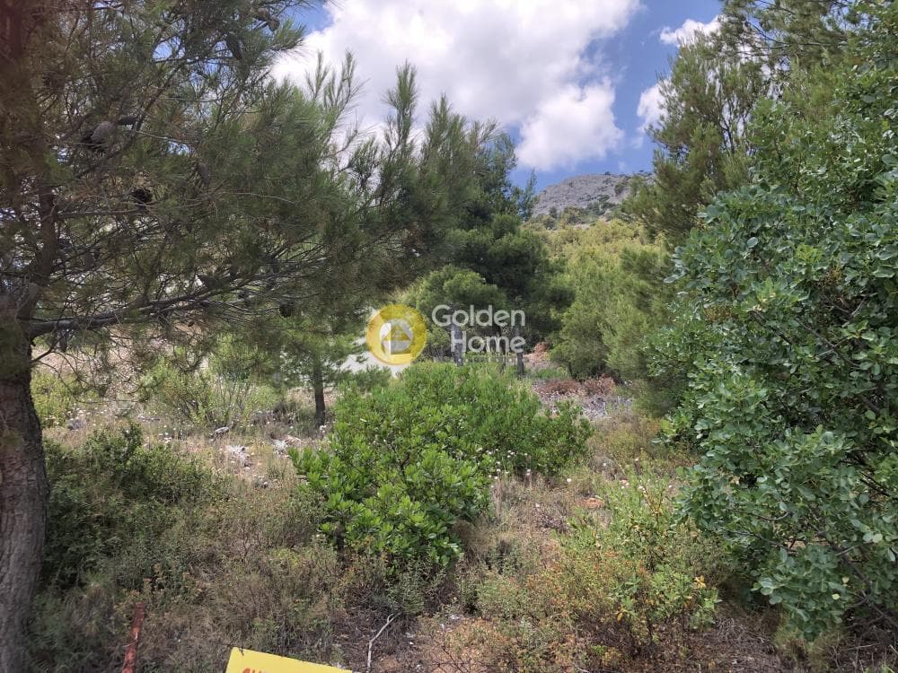 Οικόπεδο στην Μεγάλα Σχοινία Α, Αχαρνές — Φωτογραφία 4 από 5