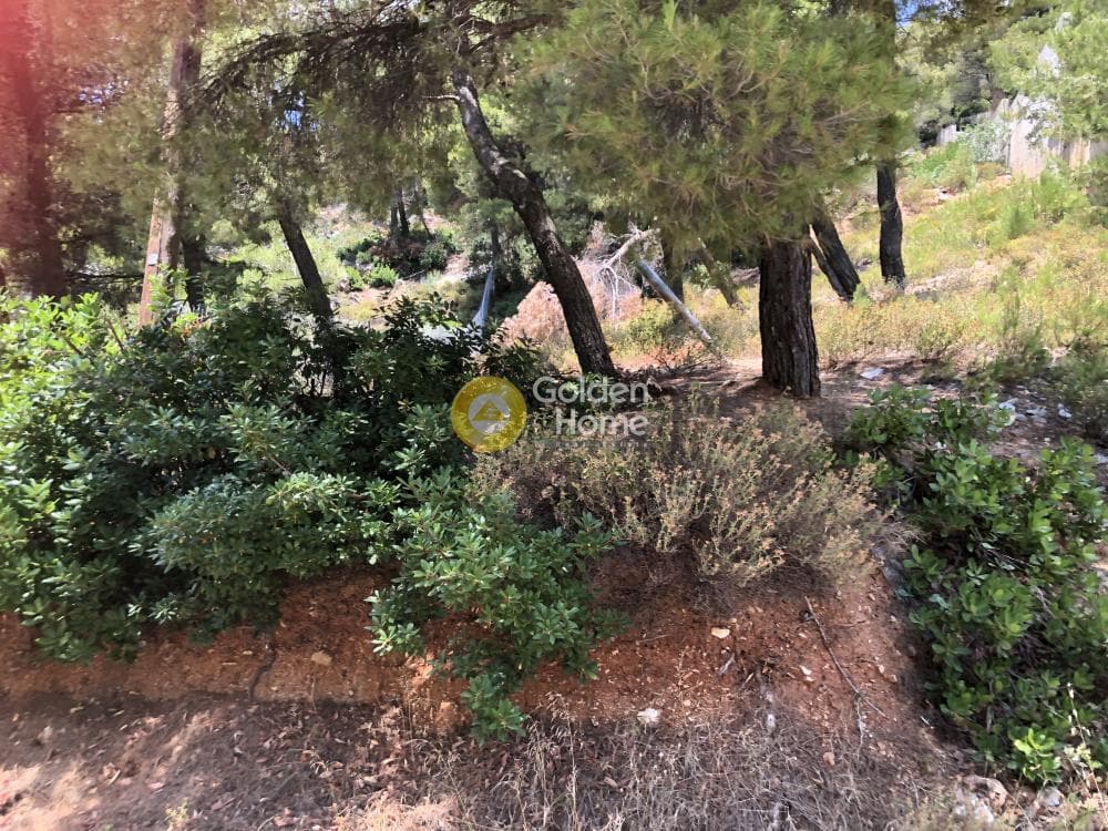 Οικόπεδο στην Μεγάλα Σχοινία Α, Αχαρνές — Φωτογραφία 1 από 3