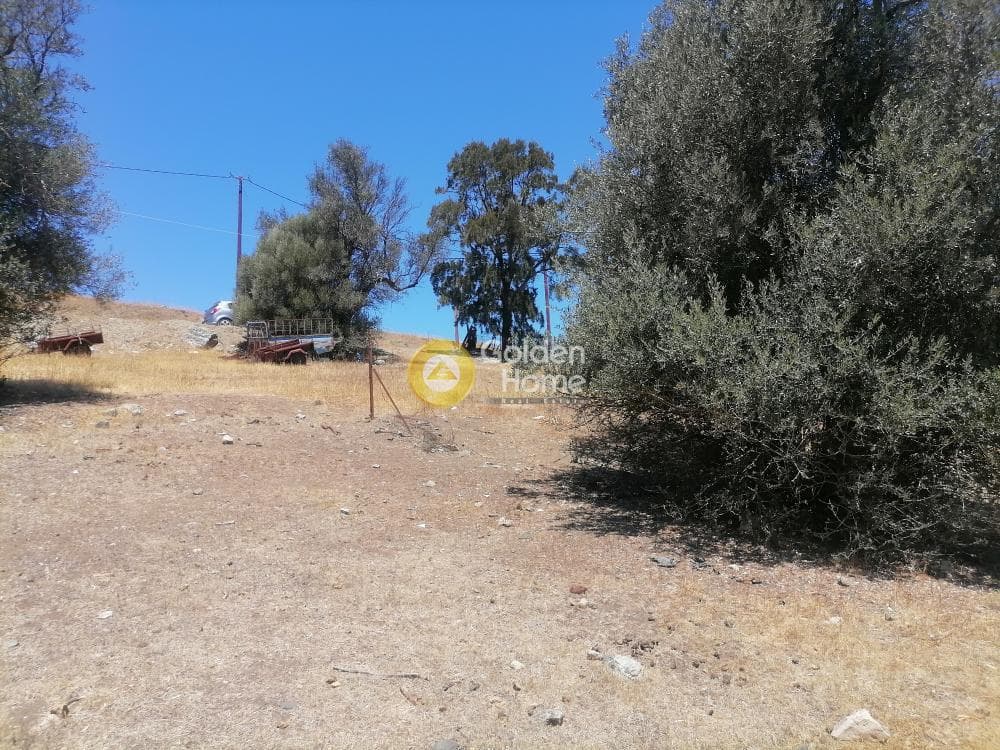 Building Plot in Kouses, Moires — Photo 14 of 21
