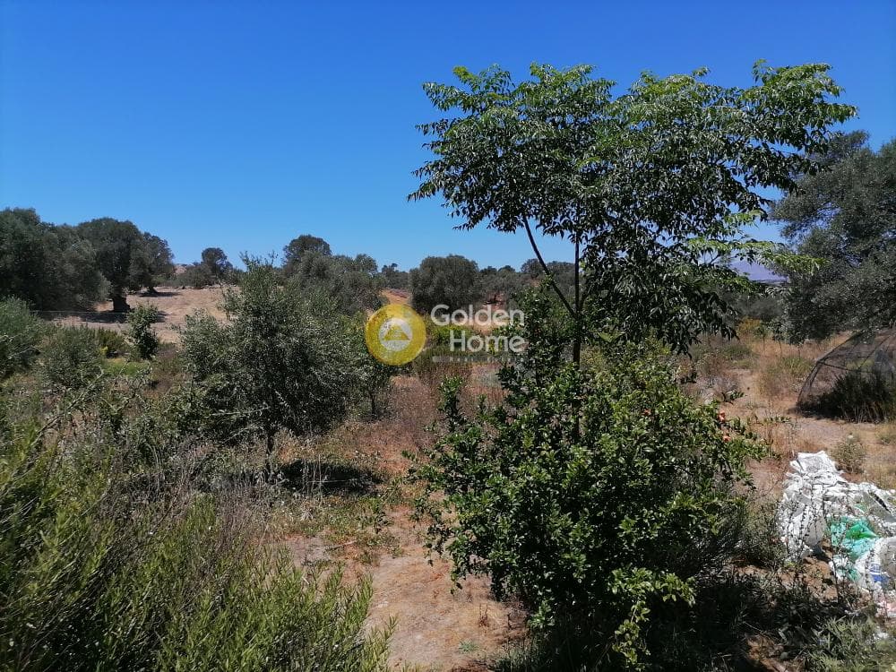 Building Plot in Listaros, Moires — Photo 7 of 21