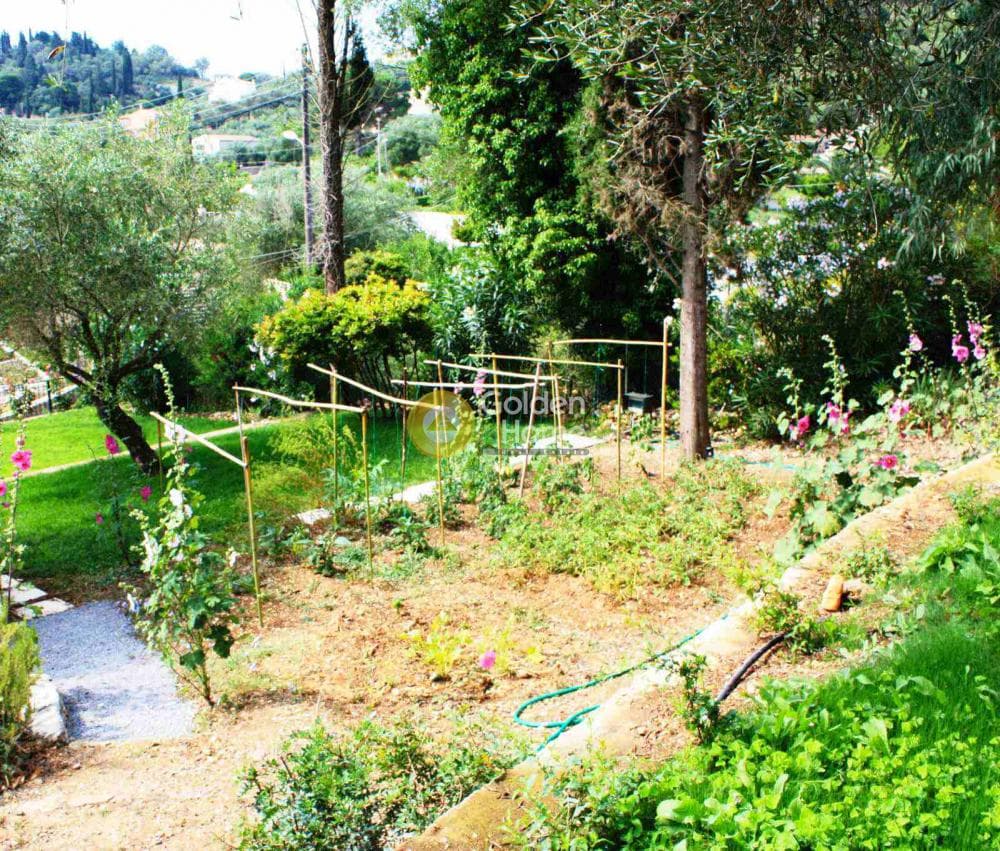 House in Pareli, Corfu — Photo 25 of 42