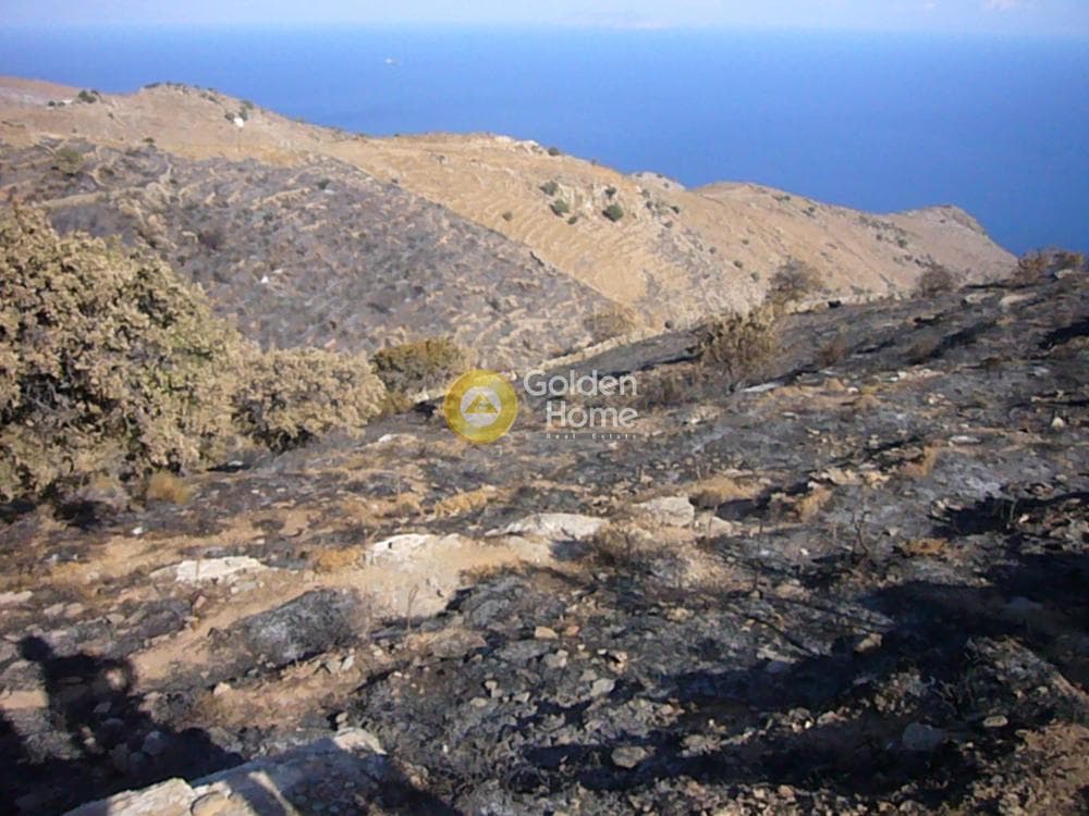 Αγροτεμάχιο στην Ελληνικά, Κέα — Φωτογραφία 4 από 5