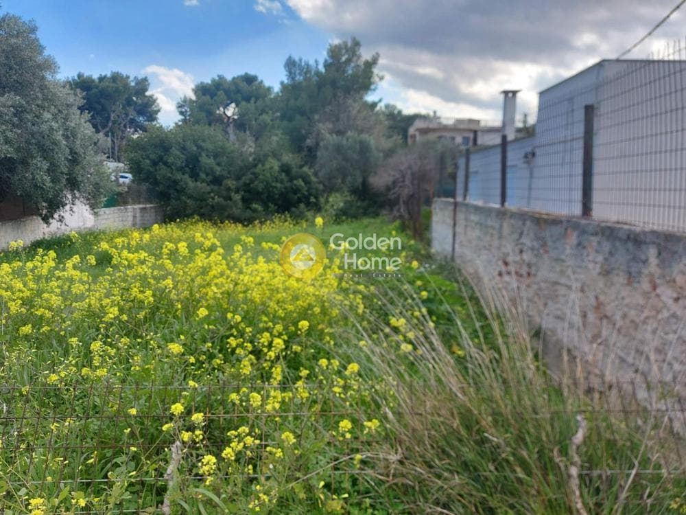 Οικόπεδο στην Άγιος Σεραφείμ, Αρτέμιδα (Λούτσα) — Φωτογραφία 2 από 2