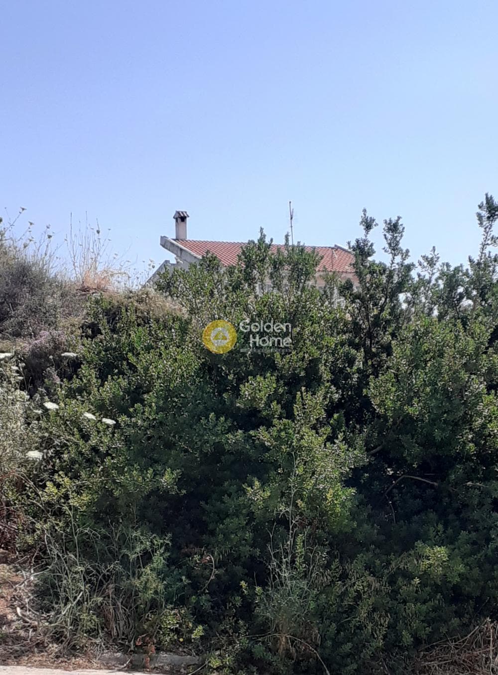 Building Plot in Oikismos Vgena, Rafina — Photo 1 of 3