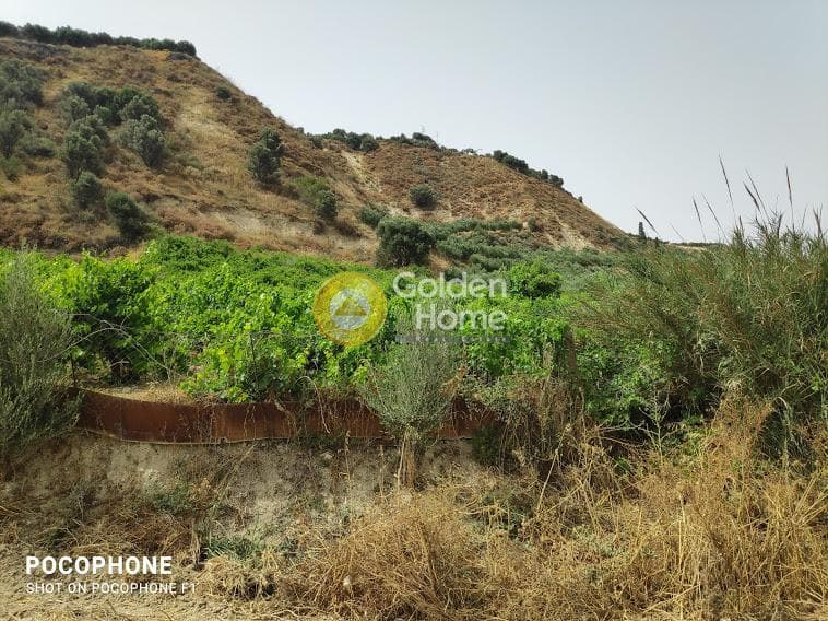 Αγροτεμάχιο στην Σταυράκια, Τετραχώρι — Φωτογραφία 1 από 22