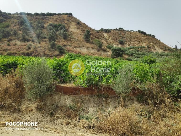 Αγροτεμάχιο στην Σταυράκια, Τετραχώρι — Φωτογραφία 2 από 22