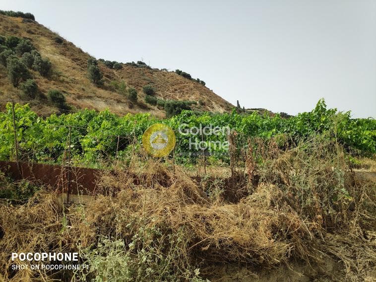 Αγροτεμάχιο στην Σταυράκια, Τετραχώρι — Φωτογραφία 4 από 22