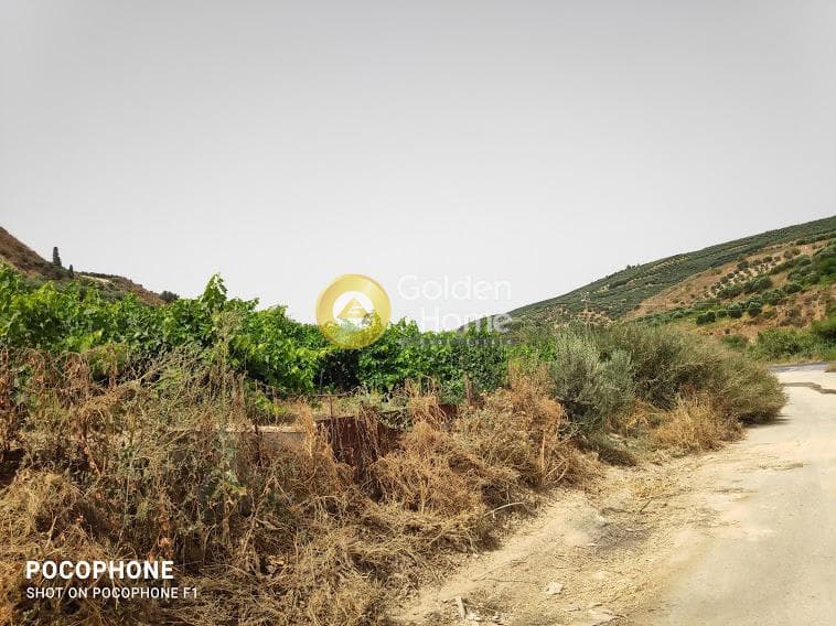 Αγροτεμάχιο στην Σταυράκια, Τετραχώρι — Φωτογραφία 6 από 22