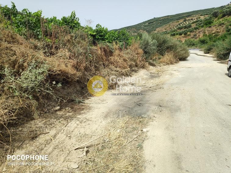 Αγροτεμάχιο στην Σταυράκια, Τετραχώρι — Φωτογραφία 9 από 22
