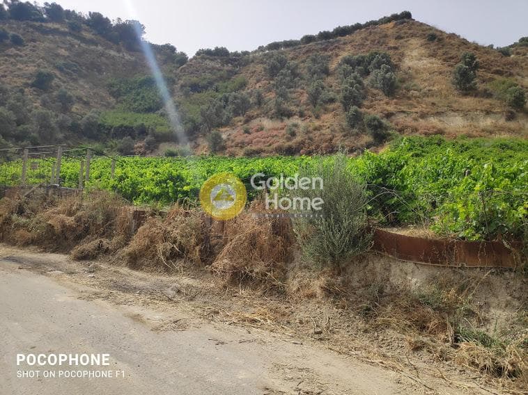 Αγροτεμάχιο στην Σταυράκια, Τετραχώρι — Φωτογραφία 12 από 22