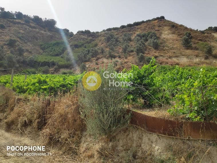 Αγροτεμάχιο στην Σταυράκια, Τετραχώρι — Φωτογραφία 13 από 22