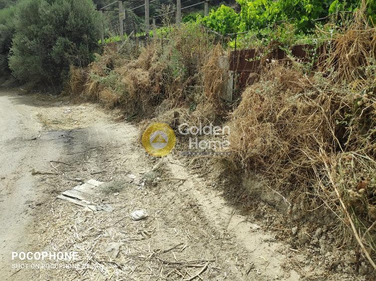 Αγροτεμάχιο στην Σταυράκια, Τετραχώρι — Φωτογραφία 15 από 22