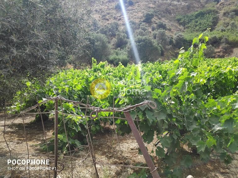 Αγροτεμάχιο στην Σταυράκια, Τετραχώρι — Φωτογραφία 18 από 22