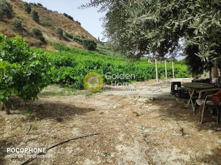 Αγροτεμάχιο στην Σταυράκια, Τετραχώρι — Φωτογραφία 20 από 22