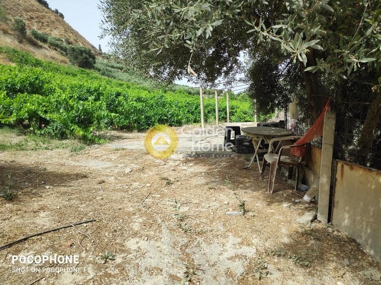 Αγροτεμάχιο στην Σταυράκια, Τετραχώρι — Φωτογραφία 21 από 22