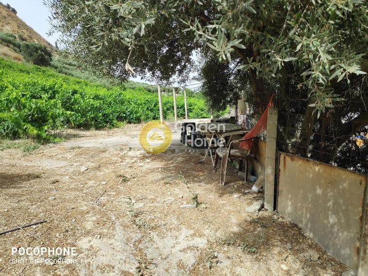Αγροτεμάχιο στην Σταυράκια, Τετραχώρι — Φωτογραφία 22 από 22