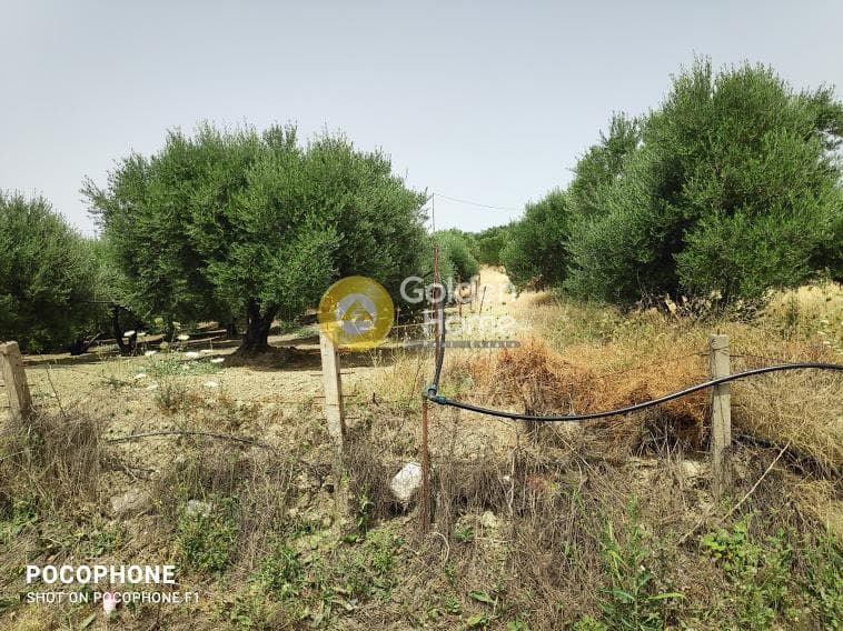 Αγροτεμάχιο στην Άγιος Μύρωνας, Τετραχώρι — Φωτογραφία 1 από 30