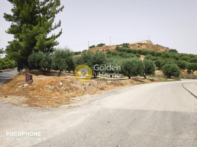 Αγροτεμάχιο στην Άγιος Μύρωνας, Τετραχώρι — Φωτογραφία 3 από 30