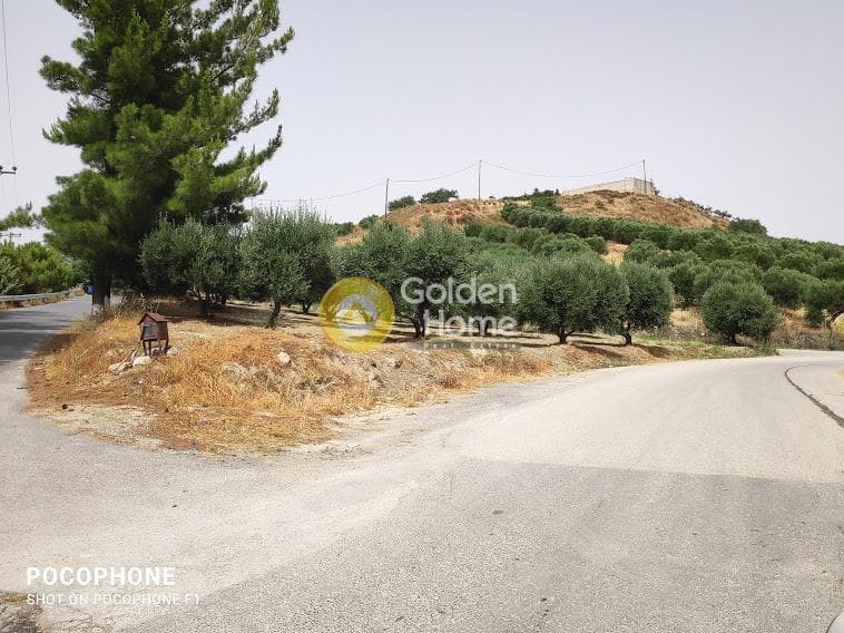 Αγροτεμάχιο στην Άγιος Μύρωνας, Τετραχώρι — Φωτογραφία 6 από 30