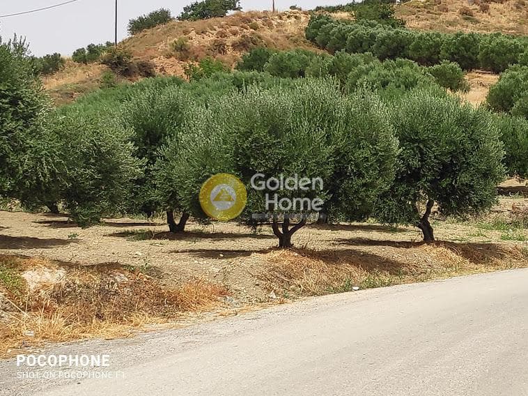 Αγροτεμάχιο στην Άγιος Μύρωνας, Τετραχώρι — Φωτογραφία 8 από 30
