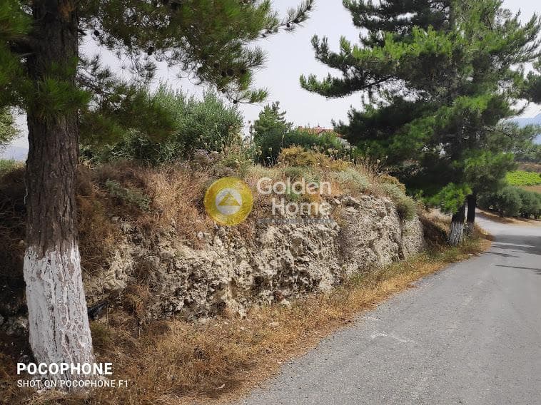 Αγροτεμάχιο στην Άγιος Μύρωνας, Τετραχώρι — Φωτογραφία 10 από 30