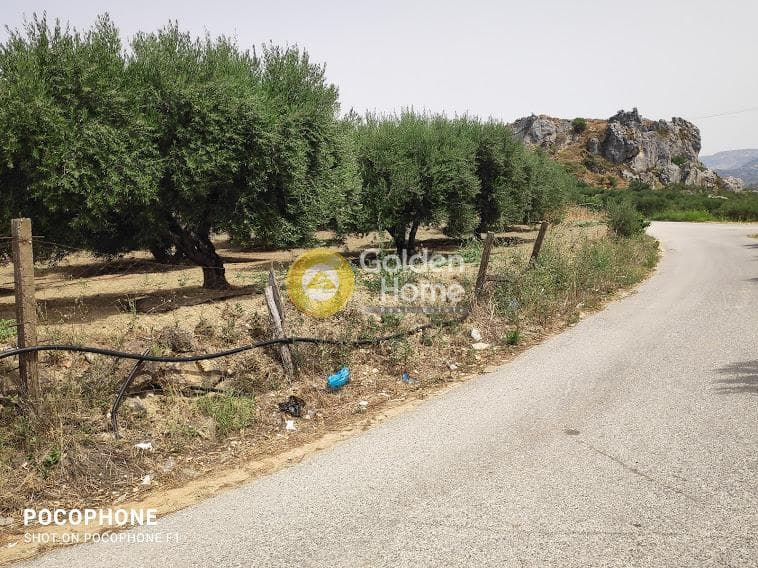 Αγροτεμάχιο στην Άγιος Μύρωνας, Τετραχώρι — Φωτογραφία 11 από 30