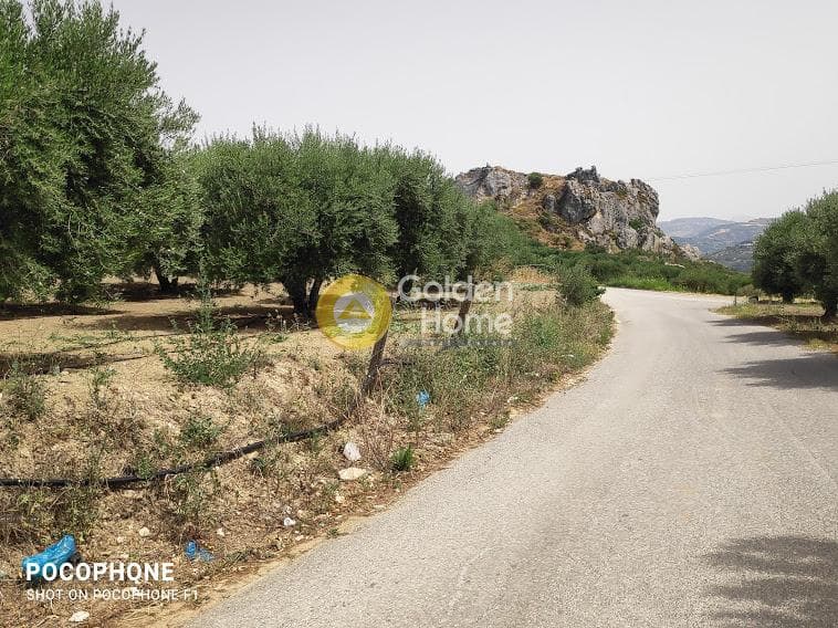 Αγροτεμάχιο στην Άγιος Μύρωνας, Τετραχώρι — Φωτογραφία 12 από 30