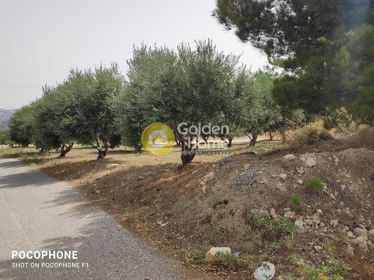 Αγροτεμάχιο στην Άγιος Μύρωνας, Τετραχώρι — Φωτογραφία 13 από 30
