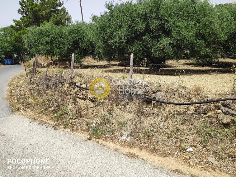Αγροτεμάχιο στην Άγιος Μύρωνας, Τετραχώρι — Φωτογραφία 14 από 30
