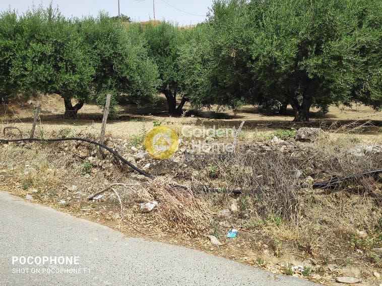 Αγροτεμάχιο στην Άγιος Μύρωνας, Τετραχώρι — Φωτογραφία 16 από 30