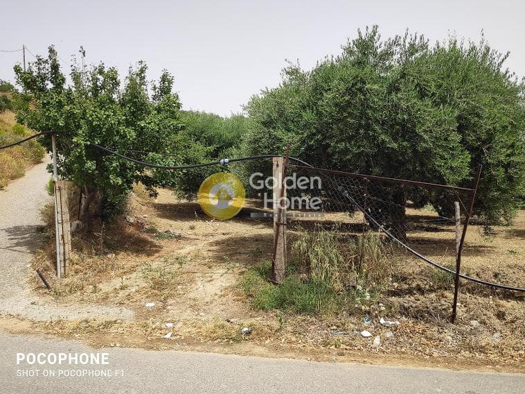 Αγροτεμάχιο στην Άγιος Μύρωνας, Τετραχώρι — Φωτογραφία 17 από 30