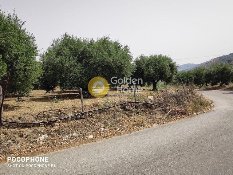 Αγροτεμάχιο στην Άγιος Μύρωνας, Τετραχώρι — Φωτογραφία 19 από 30