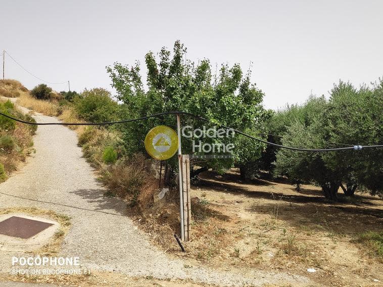 Αγροτεμάχιο στην Άγιος Μύρωνας, Τετραχώρι — Φωτογραφία 20 από 30