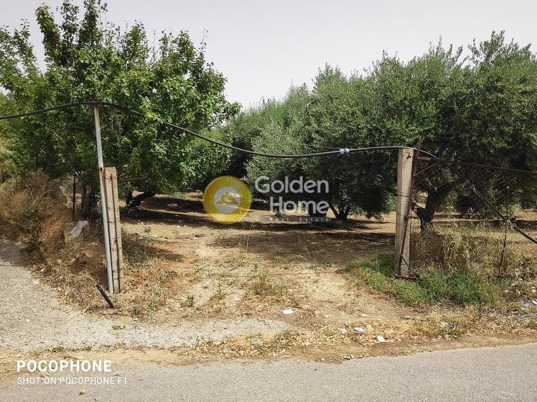 Αγροτεμάχιο στην Άγιος Μύρωνας, Τετραχώρι — Φωτογραφία 21 από 30