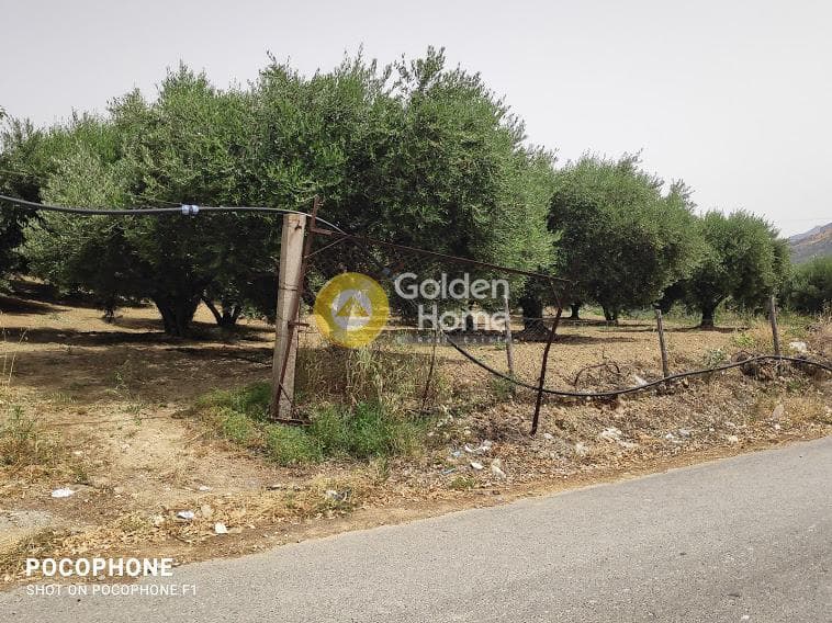 Αγροτεμάχιο στην Άγιος Μύρωνας, Τετραχώρι — Φωτογραφία 22 από 30