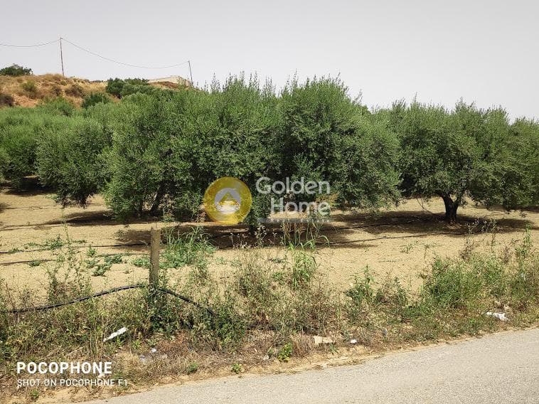 Αγροτεμάχιο στην Άγιος Μύρωνας, Τετραχώρι — Φωτογραφία 23 από 30