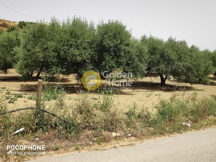 Αγροτεμάχιο στην Άγιος Μύρωνας, Τετραχώρι — Φωτογραφία 25 από 30