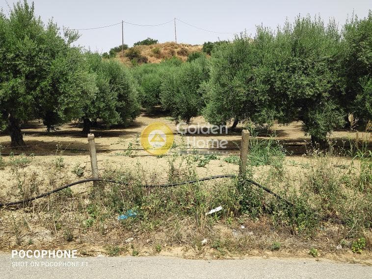 Αγροτεμάχιο στην Άγιος Μύρωνας, Τετραχώρι — Φωτογραφία 26 από 30