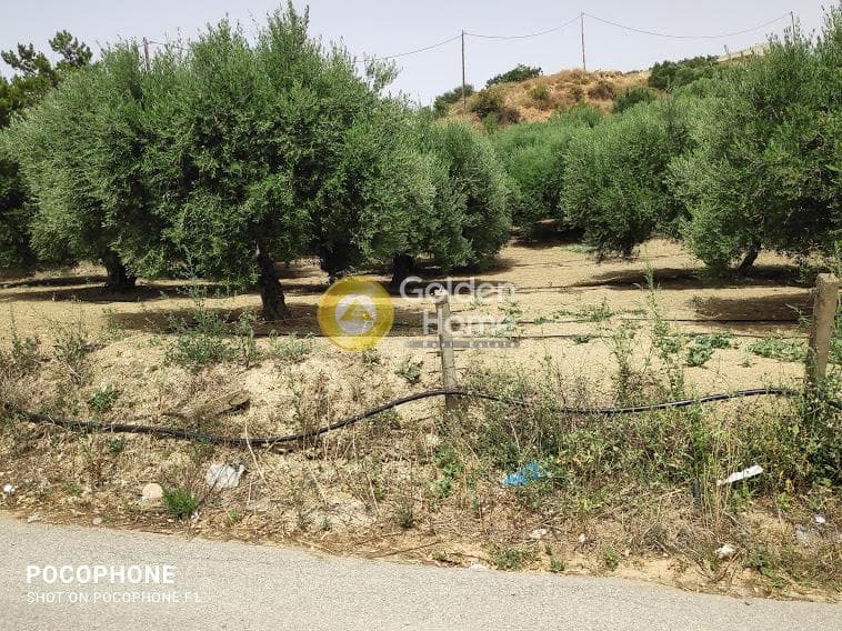 Αγροτεμάχιο στην Άγιος Μύρωνας, Τετραχώρι — Φωτογραφία 27 από 30