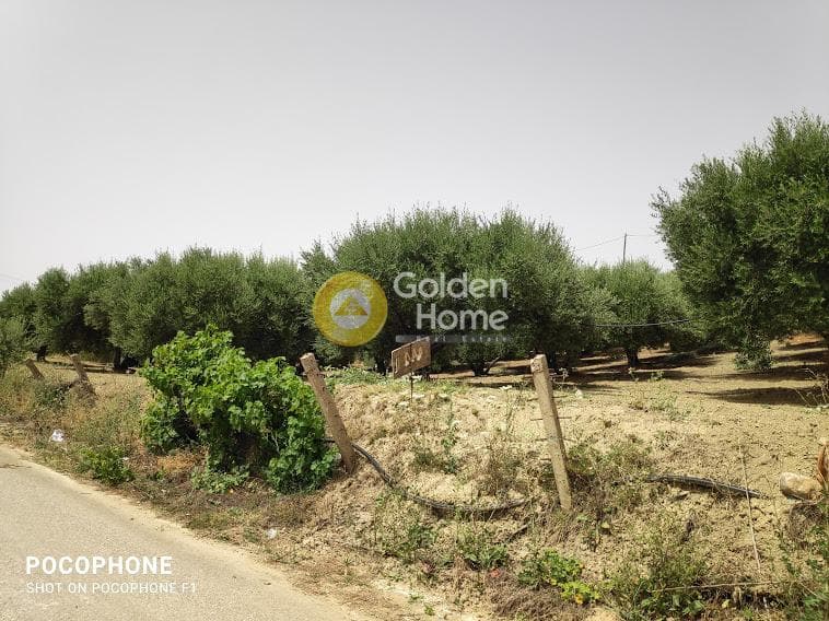 Αγροτεμάχιο στην Άγιος Μύρωνας, Τετραχώρι — Φωτογραφία 28 από 30